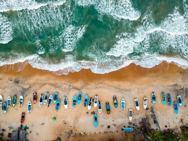 East Coast (Trincomalee, Arugam Bay)