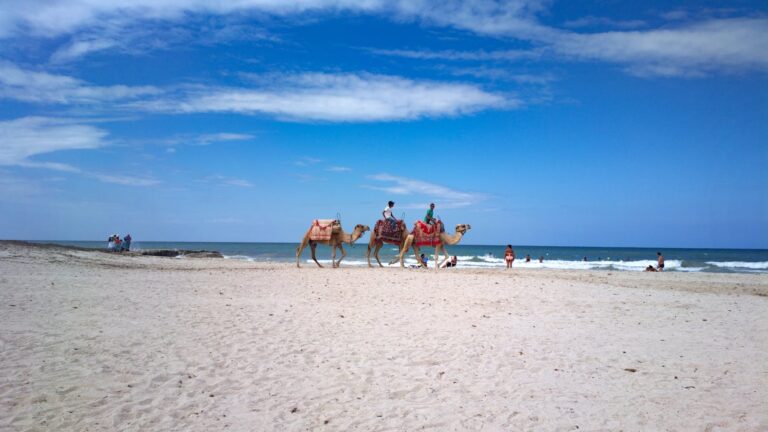 Djerba